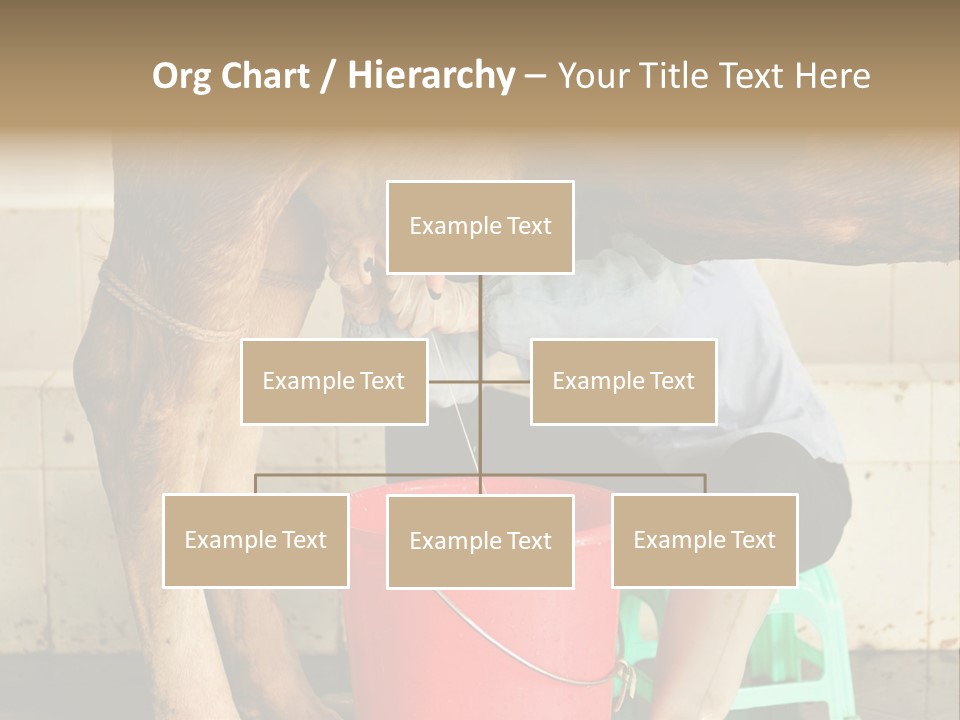 Nipple Milk Maid Woman PowerPoint Template