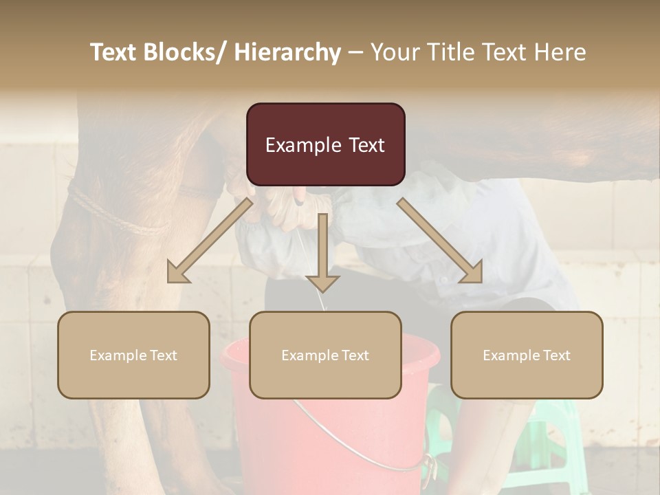 Nipple Milk Maid Woman PowerPoint Template