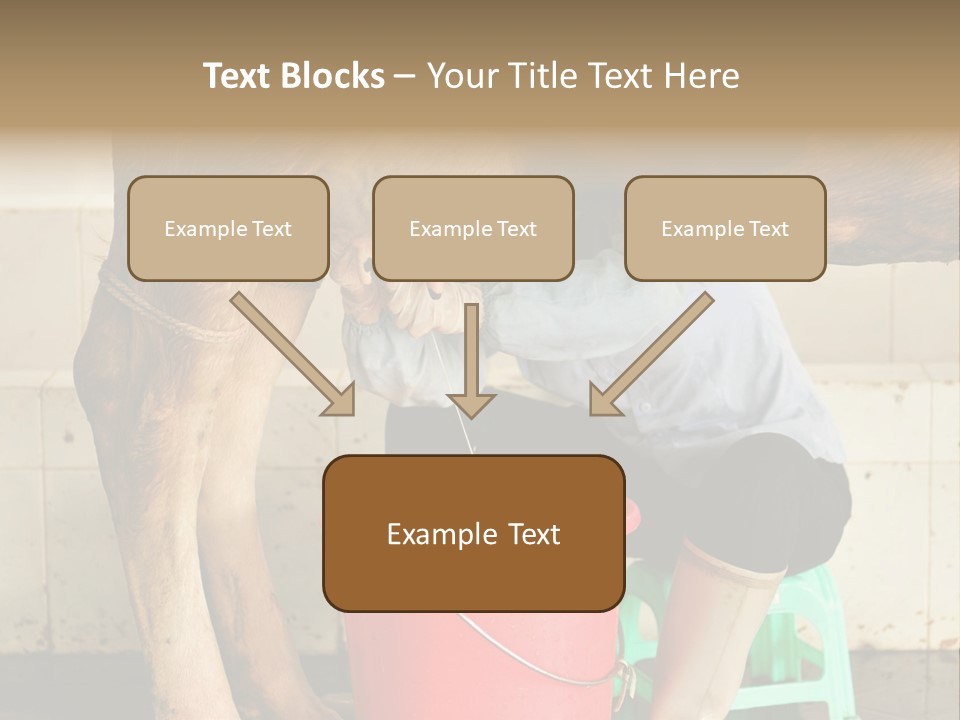 Nipple Milk Maid Woman PowerPoint Template