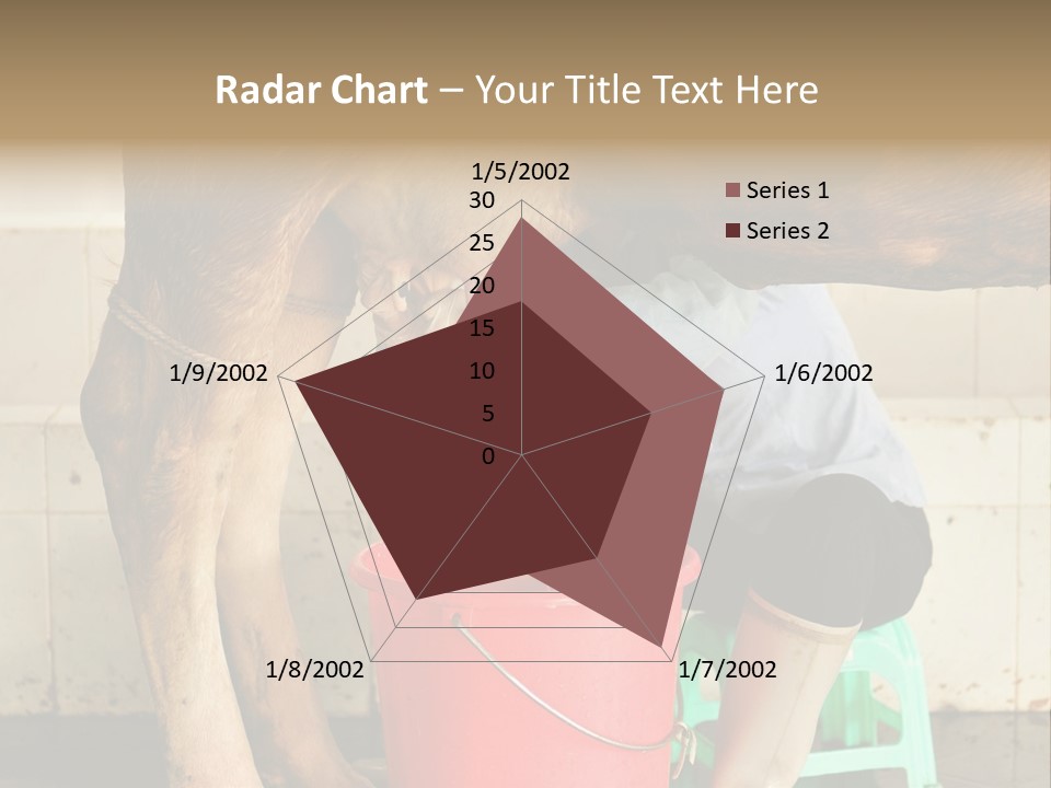 Nipple Milk Maid Woman PowerPoint Template