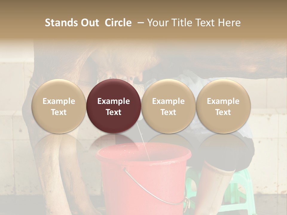 Nipple Milk Maid Woman PowerPoint Template