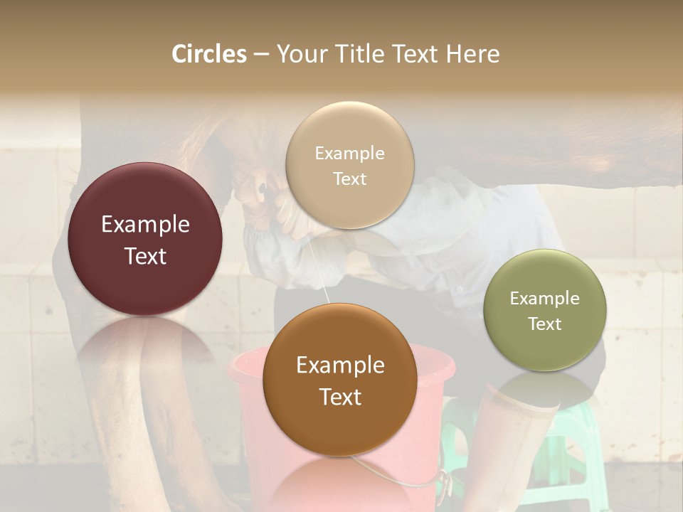 Nipple Milk Maid Woman PowerPoint Template