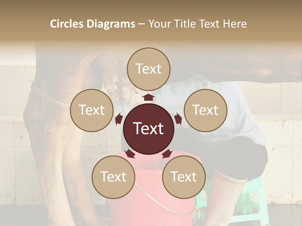 Nipple Milk Maid Woman PowerPoint Template