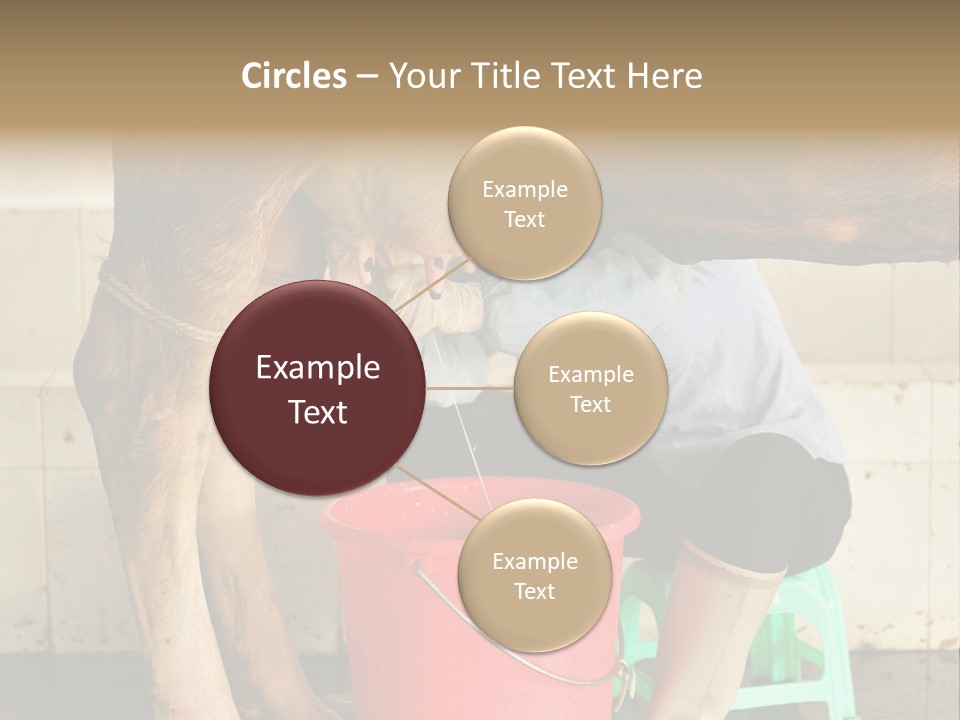 Nipple Milk Maid Woman PowerPoint Template