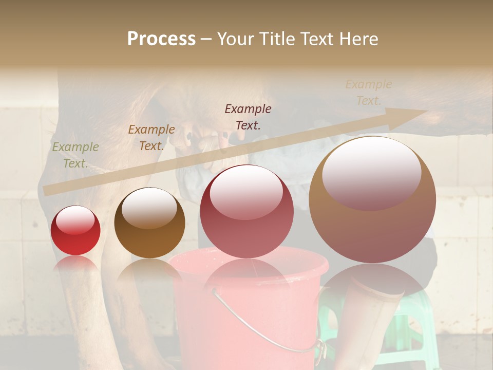 Nipple Milk Maid Woman PowerPoint Template