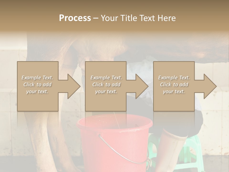 Nipple Milk Maid Woman PowerPoint Template