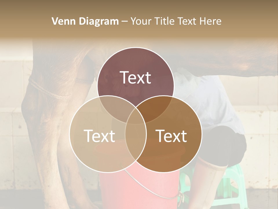 Nipple Milk Maid Woman PowerPoint Template