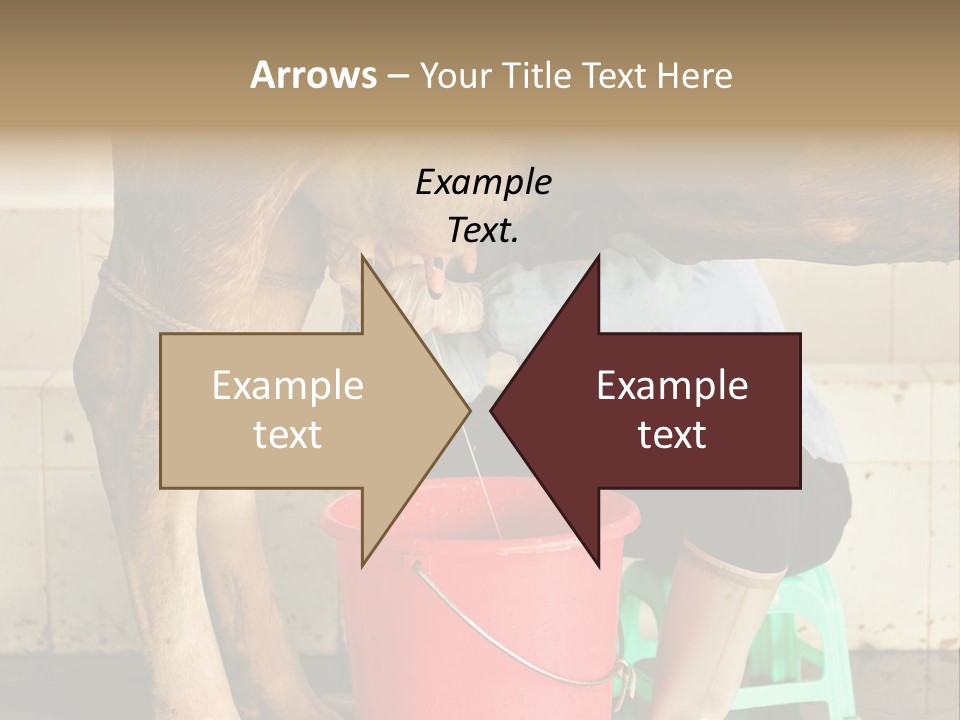 Nipple Milk Maid Woman PowerPoint Template