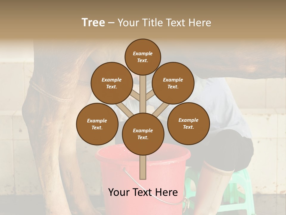 Nipple Milk Maid Woman PowerPoint Template