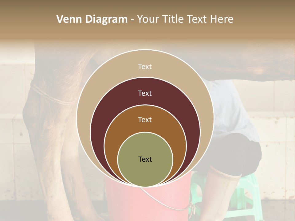 Nipple Milk Maid Woman PowerPoint Template