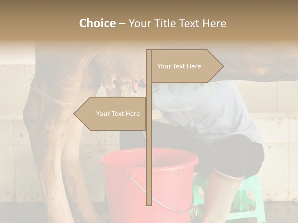 Nipple Milk Maid Woman PowerPoint Template