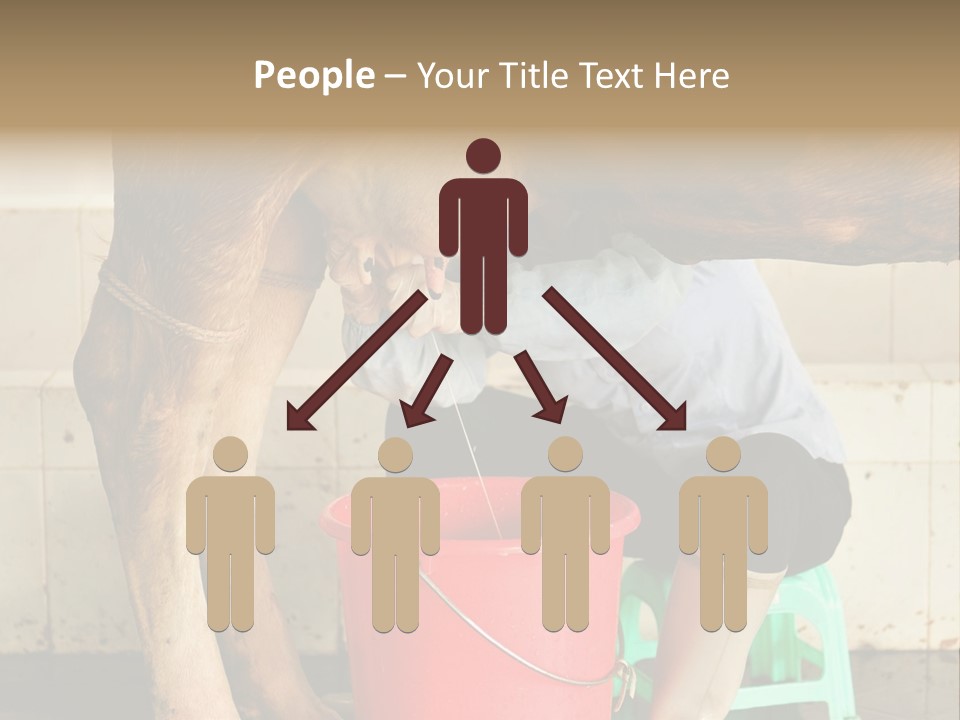 Nipple Milk Maid Woman PowerPoint Template