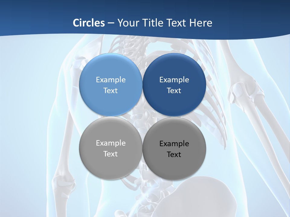 Vertebrae Spine Rendering PowerPoint Template