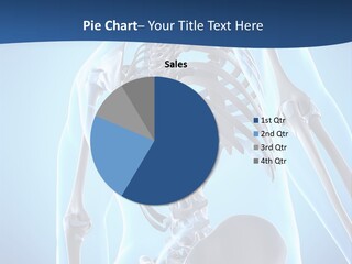 Vertebrae Spine Rendering PowerPoint Template