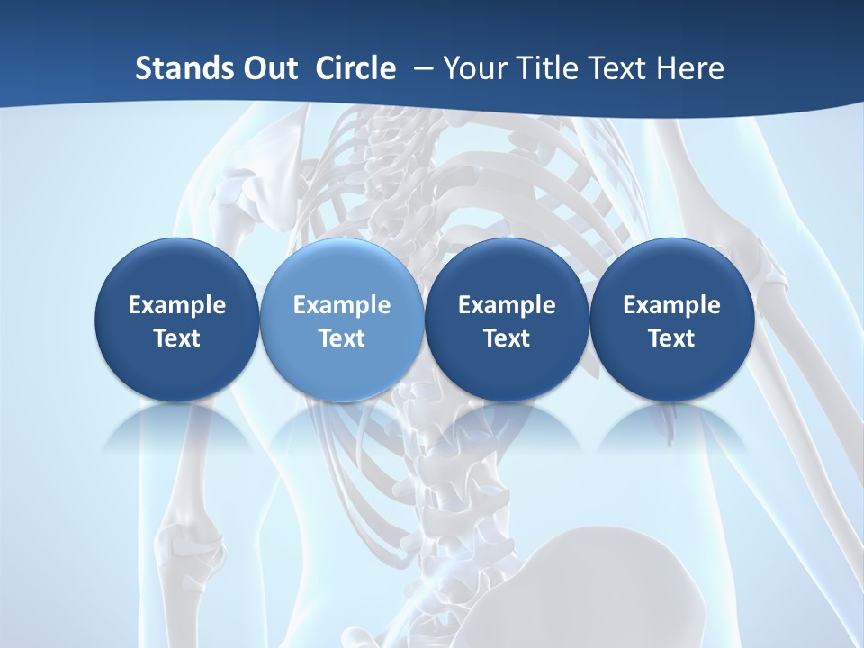 Vertebrae Spine Rendering PowerPoint Template
