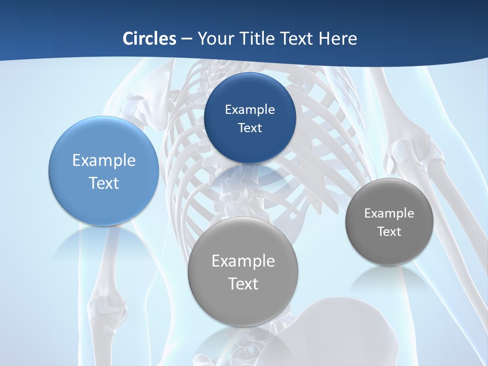Vertebrae Spine Rendering PowerPoint Template