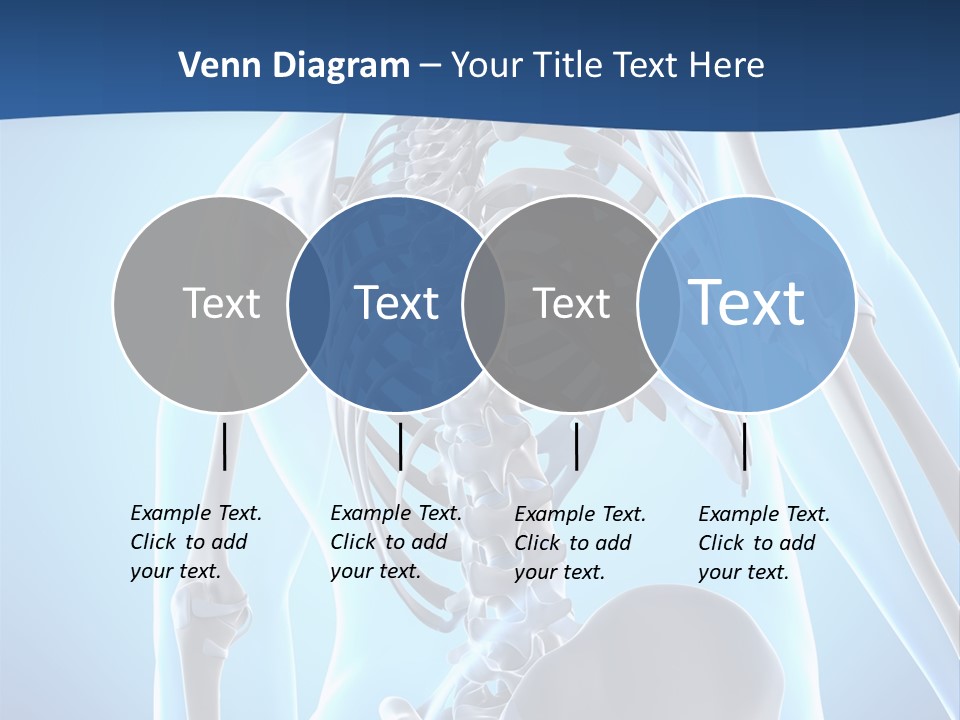 Vertebrae Spine Rendering PowerPoint Template