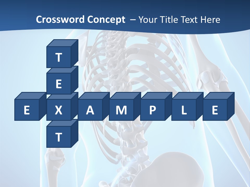 Vertebrae Spine Rendering PowerPoint Template