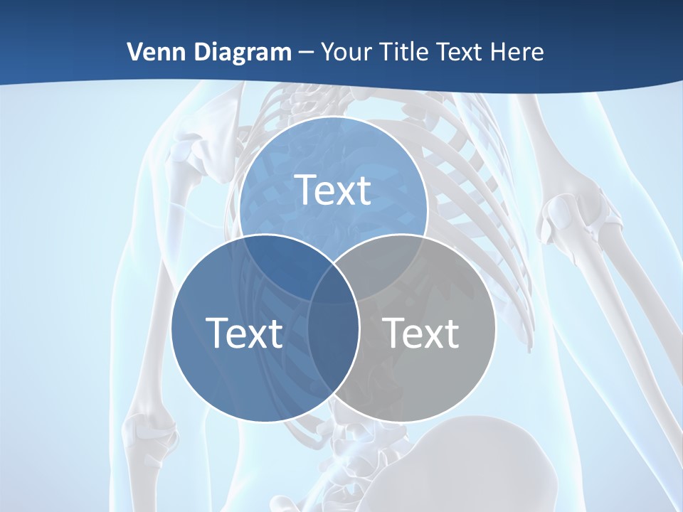 Vertebrae Spine Rendering PowerPoint Template