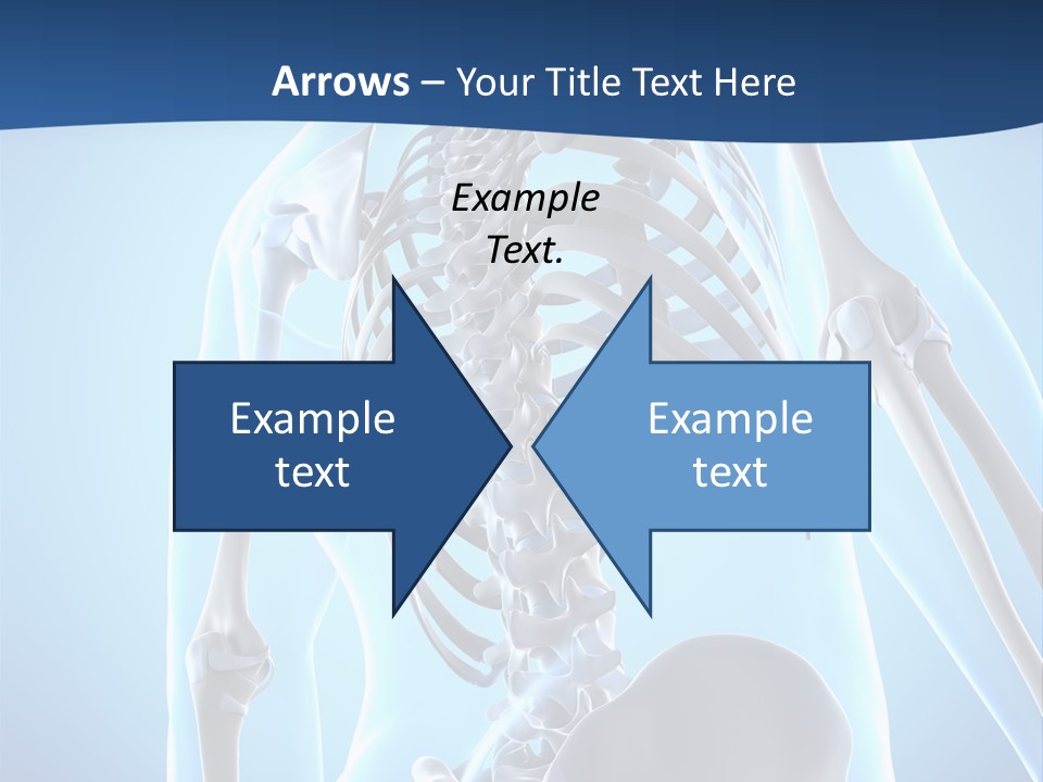 Vertebrae Spine Rendering PowerPoint Template