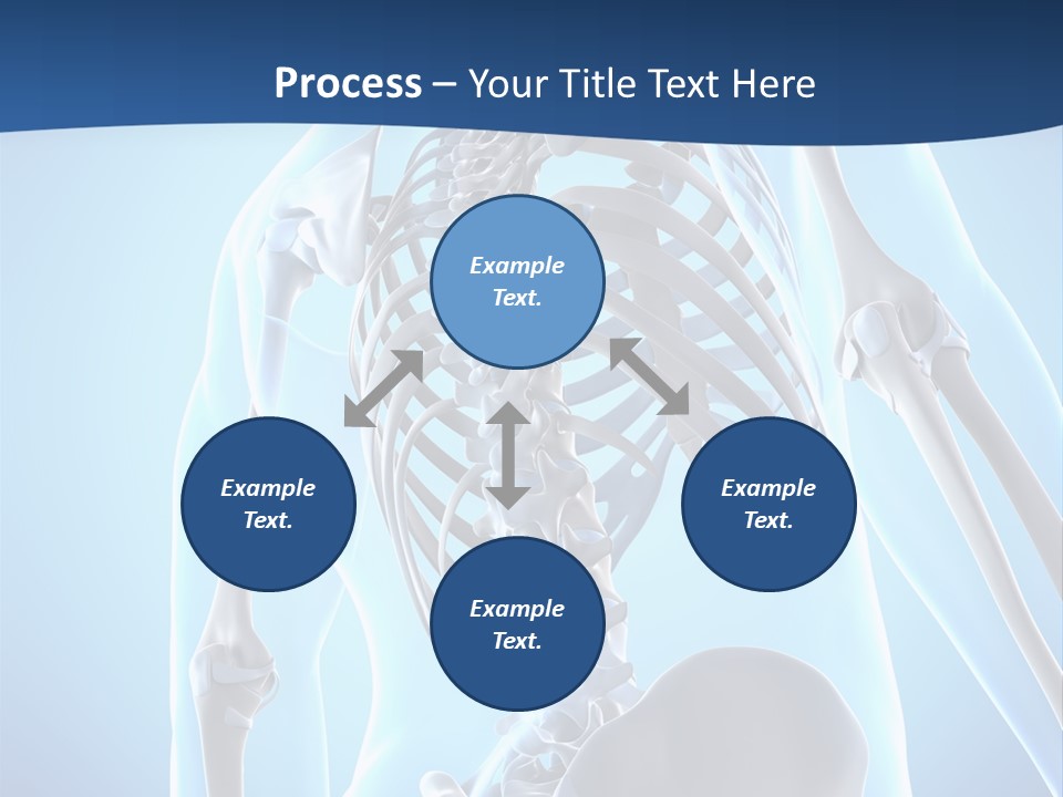 Vertebrae Spine Rendering PowerPoint Template