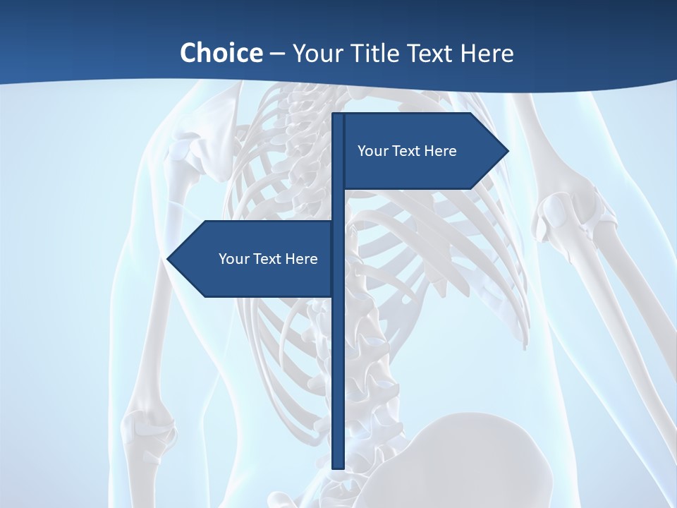 Vertebrae Spine Rendering PowerPoint Template