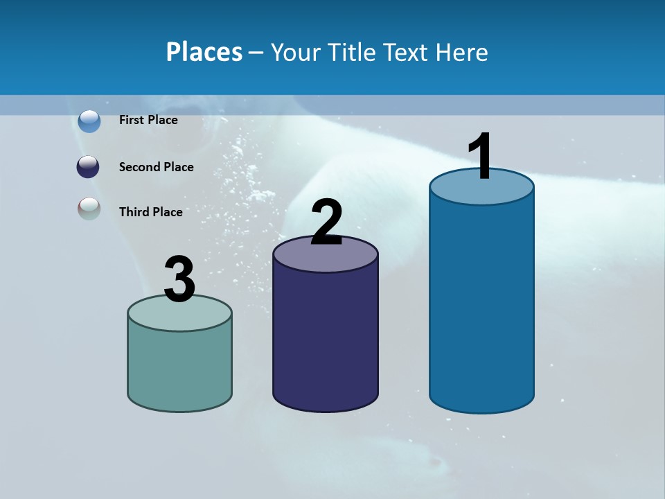 Swim Bear Fauna PowerPoint Template