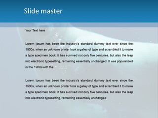 Swim Bear Fauna PowerPoint Template