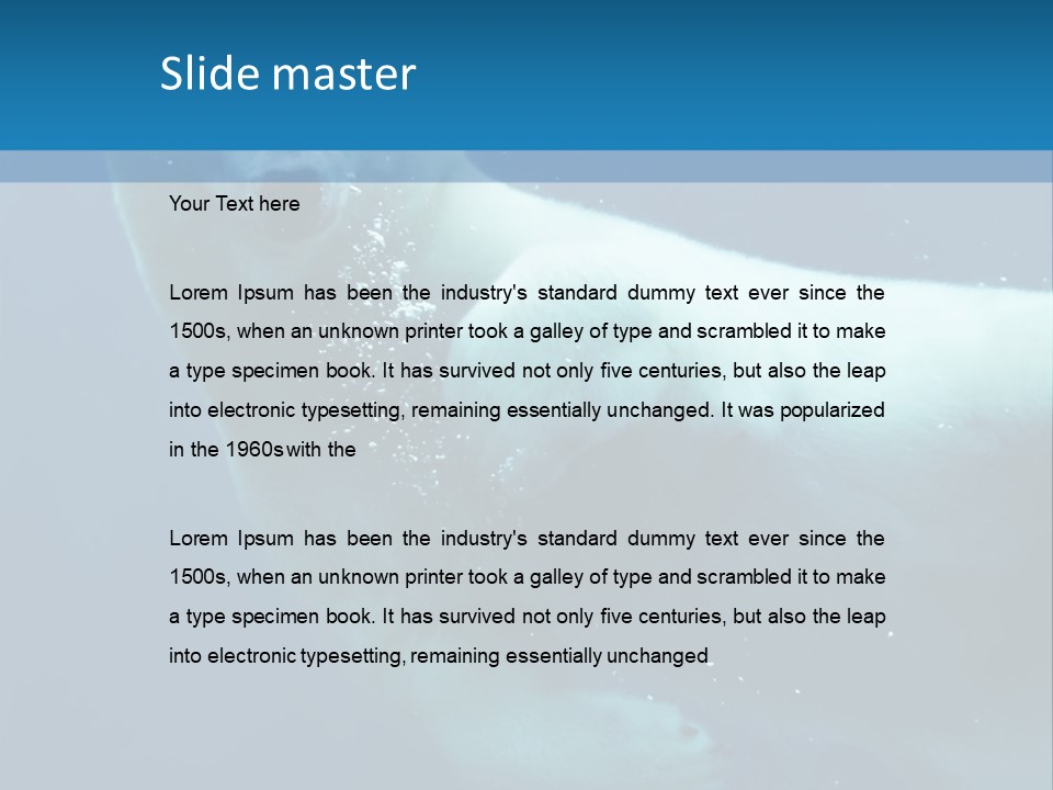 Swim Bear Fauna PowerPoint Template