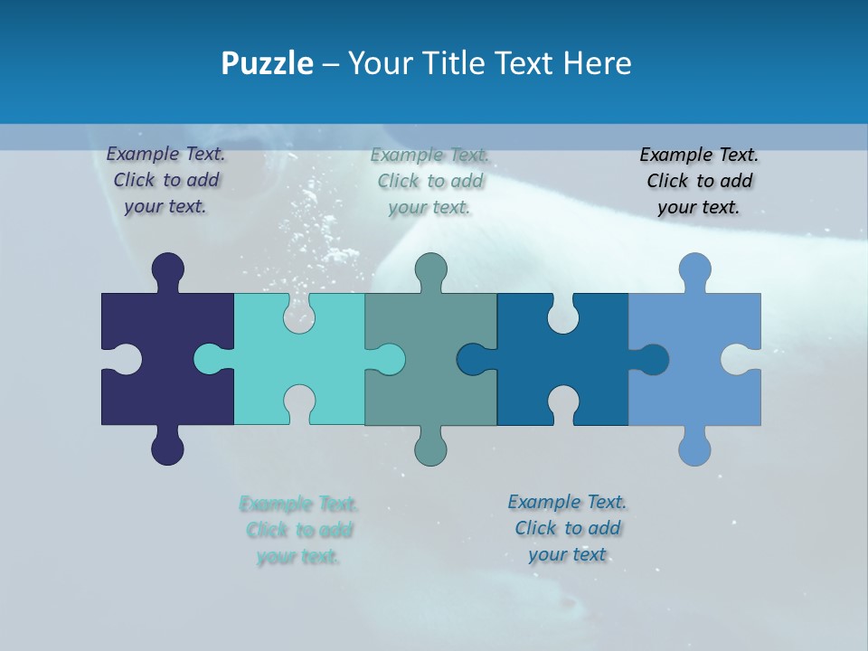 Swim Bear Fauna PowerPoint Template