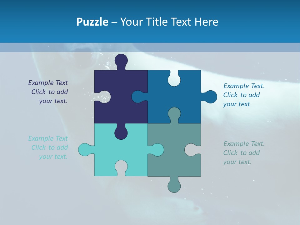 Swim Bear Fauna PowerPoint Template