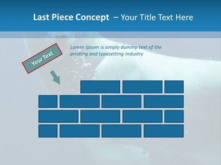 Swim Bear Fauna PowerPoint Template