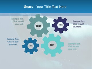 Swim Bear Fauna PowerPoint Template