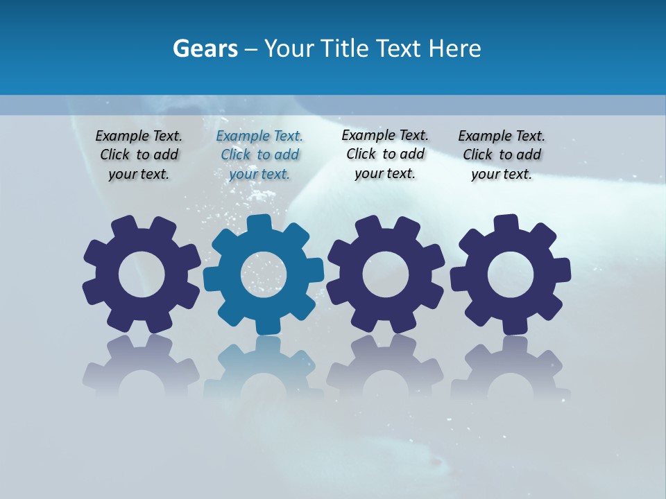 Swim Bear Fauna PowerPoint Template
