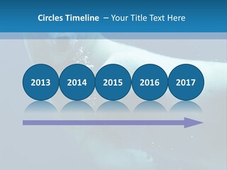 Swim Bear Fauna PowerPoint Template