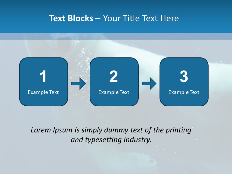 Swim Bear Fauna PowerPoint Template