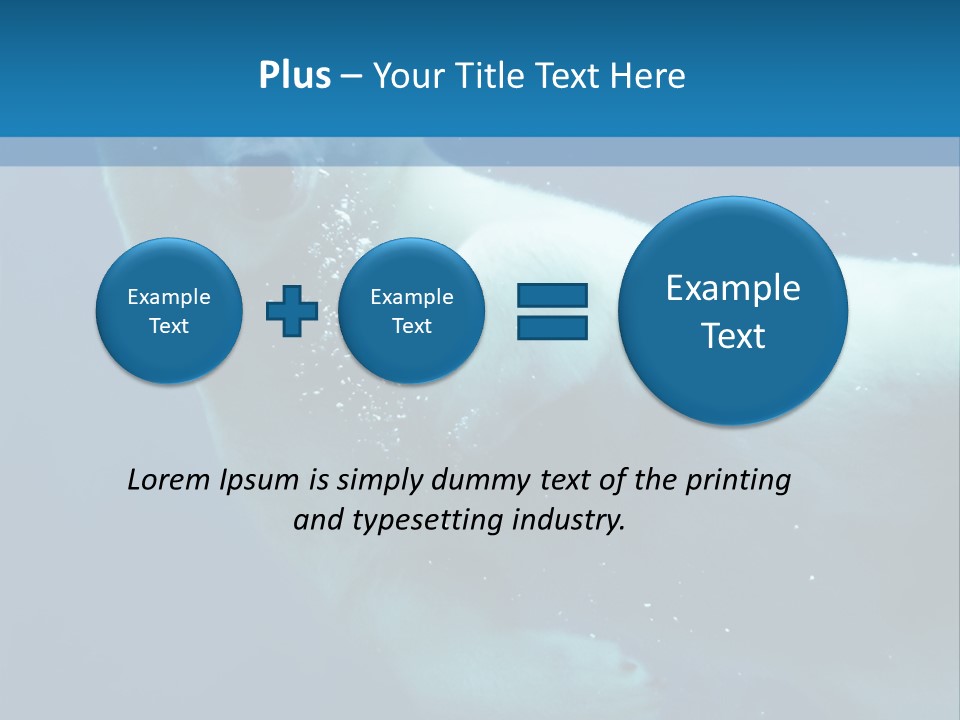 Swim Bear Fauna PowerPoint Template