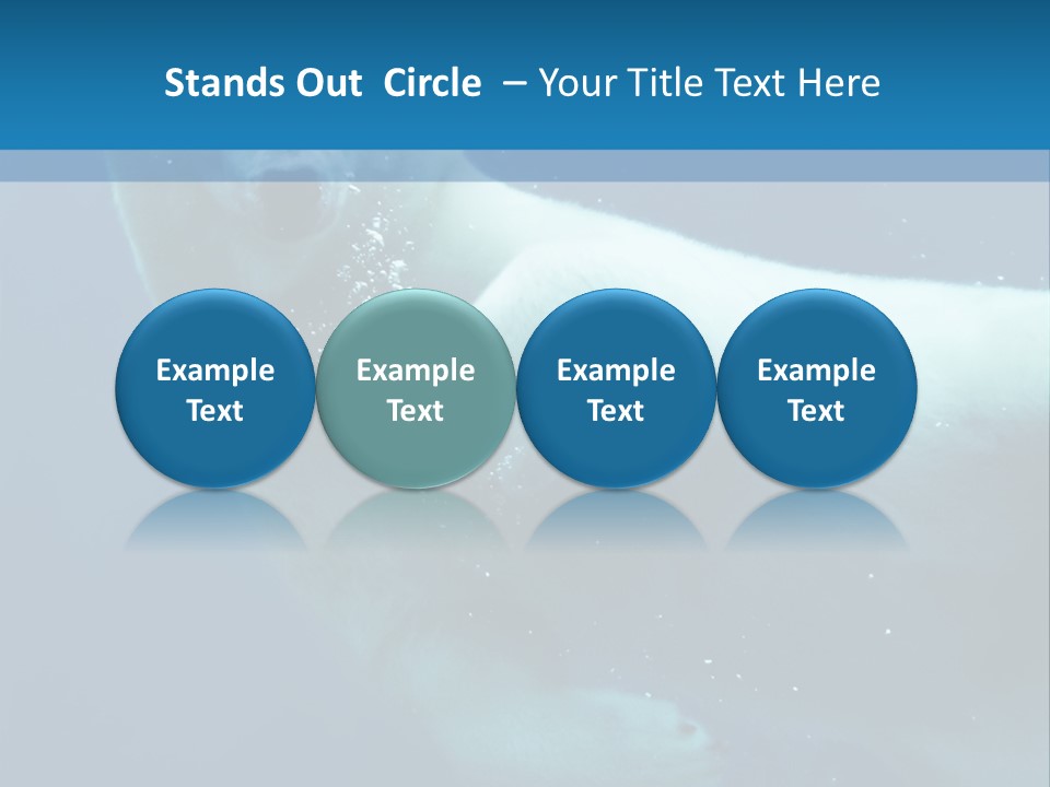Swim Bear Fauna PowerPoint Template