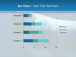 Swim Bear Fauna PowerPoint Template