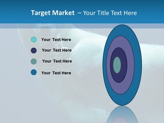 Swim Bear Fauna PowerPoint Template