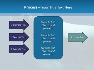 Swim Bear Fauna PowerPoint Template