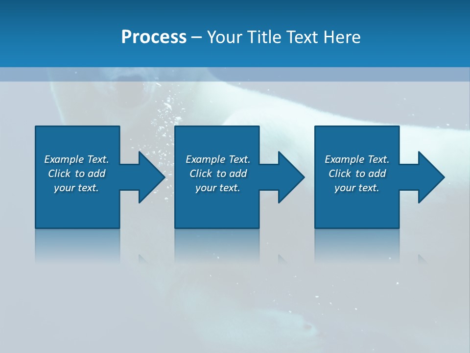 Swim Bear Fauna PowerPoint Template