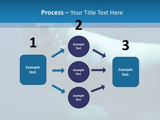 Swim Bear Fauna PowerPoint Template