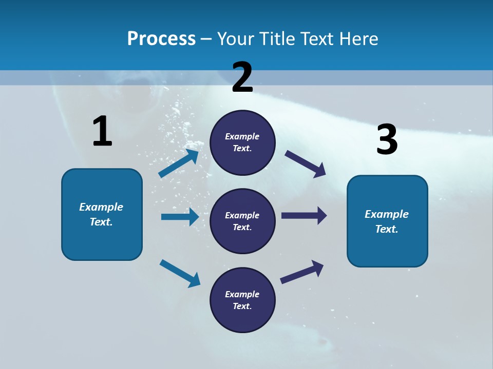 Swim Bear Fauna PowerPoint Template