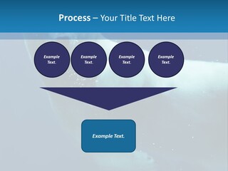 Swim Bear Fauna PowerPoint Template