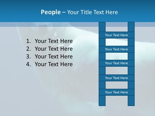 Swim Bear Fauna PowerPoint Template