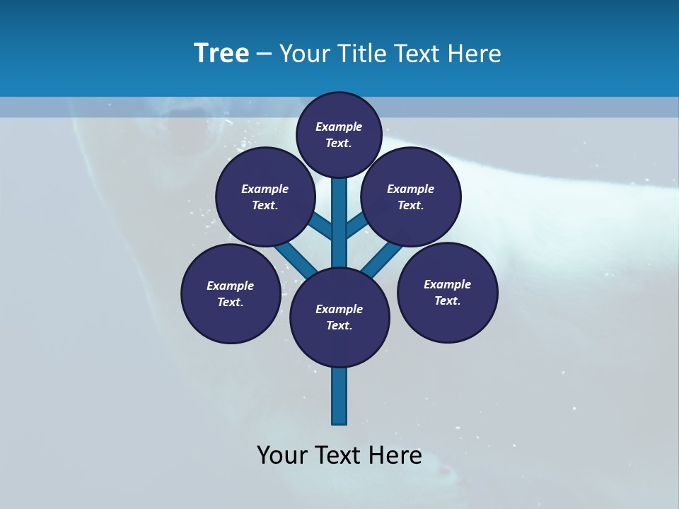 Swim Bear Fauna PowerPoint Template