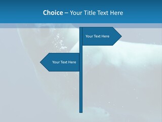 Swim Bear Fauna PowerPoint Template