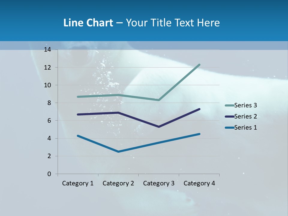 Swim Bear Fauna PowerPoint Template