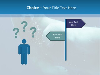 Swim Bear Fauna PowerPoint Template